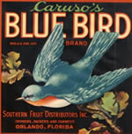 BlueBird Citrus